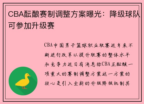 CBA酝酿赛制调整方案曝光：降级球队可参加升级赛