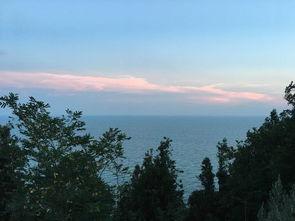 蚂蚁惊魂,一场微观世界的生死较量