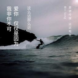 我非你不可,探寻独特魅力的非凡之旅