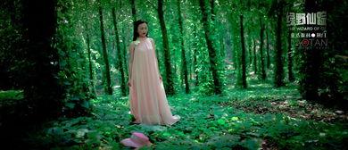 绿野嬉春,探寻自然之美，畅享田园生活